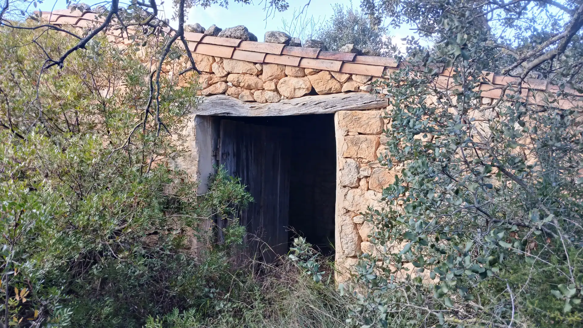 Terreni e lotti in vendita a Lledó, imagen 8