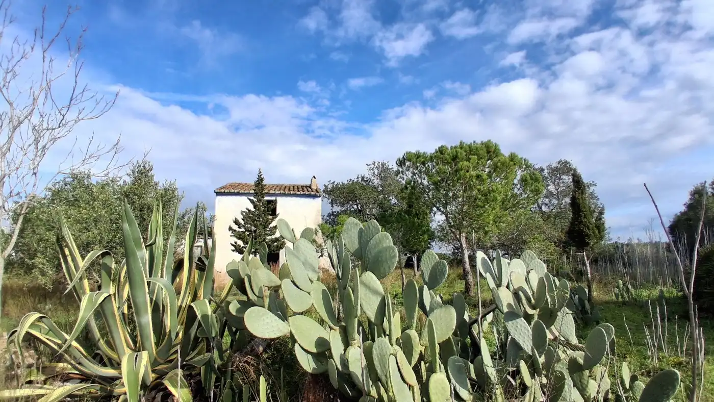 Vista exterior de Finca rústica en venta en L'Ampolla