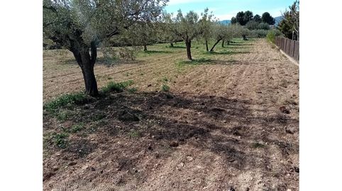 TERRENO PARTIDA ELS PLANS EN IBI, immagine 3