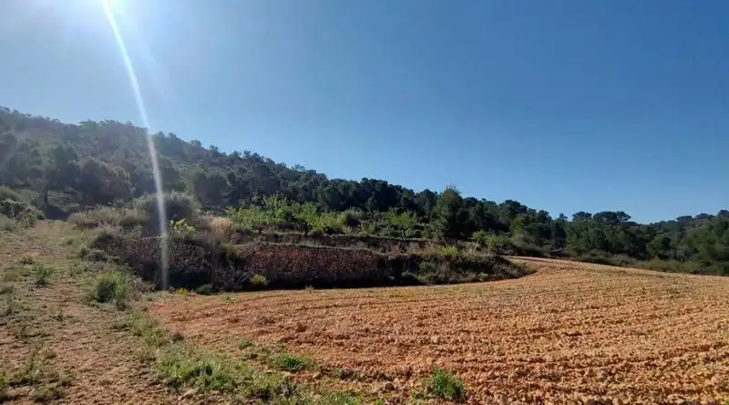 Terrenys i solars en venda a Abanilla, imagen 8