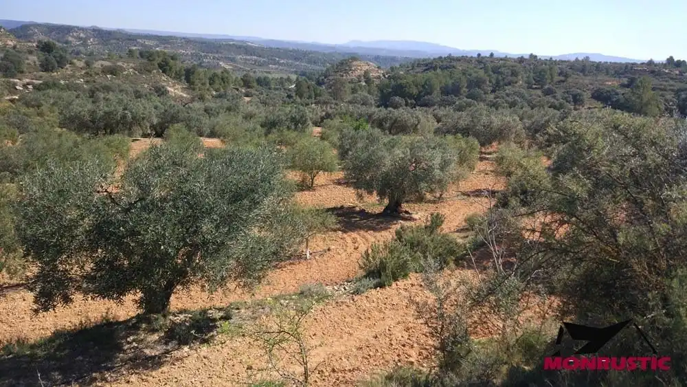 Terrain rustique à vendre à Riba-roja d'Ebre, imagen 13