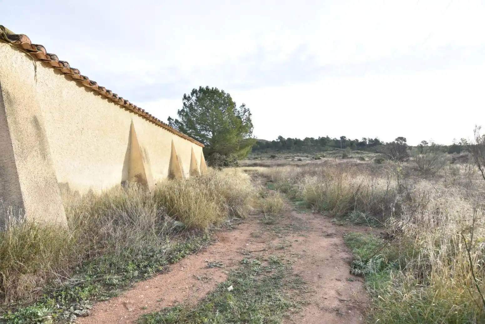 Casa o chalet en venta en Liétor - casa de la rambla Lietor, Liétor
