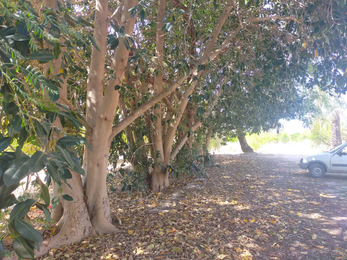 Casa rustica in vendita a Algorós - El Derramador, imagen 5