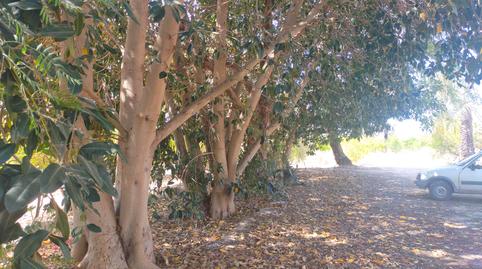 Foto 5 de Finca rústica en venda a Algorós - El Derramador, Alicante