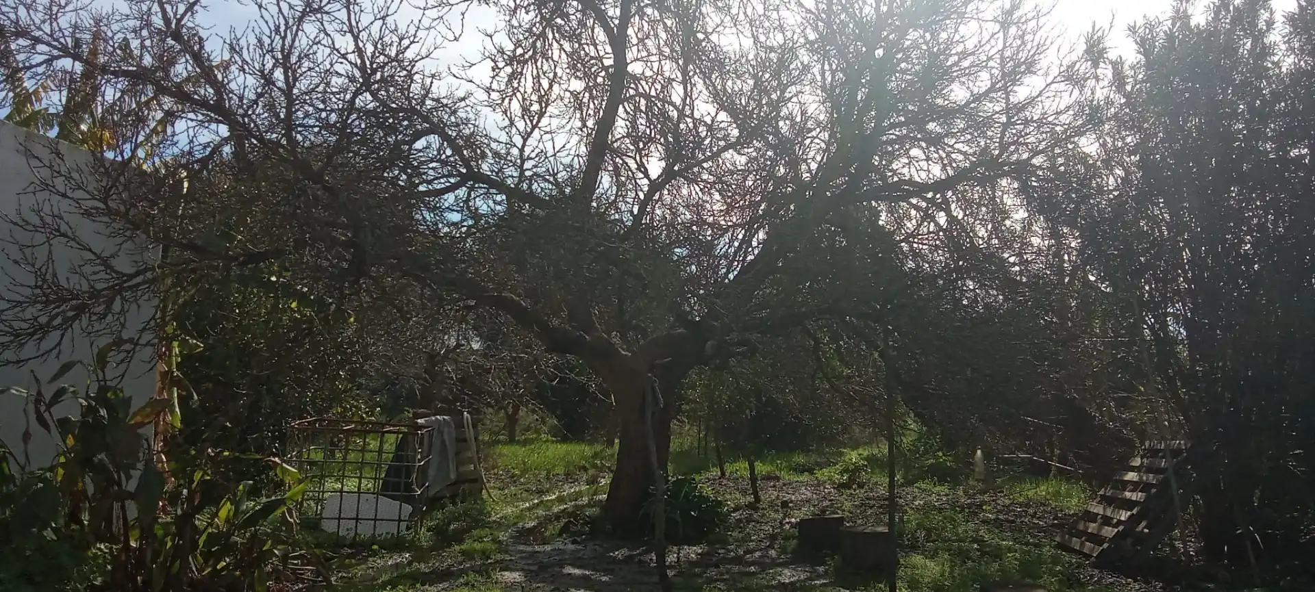 Casa rústica en venda a Vejer, imagen 17