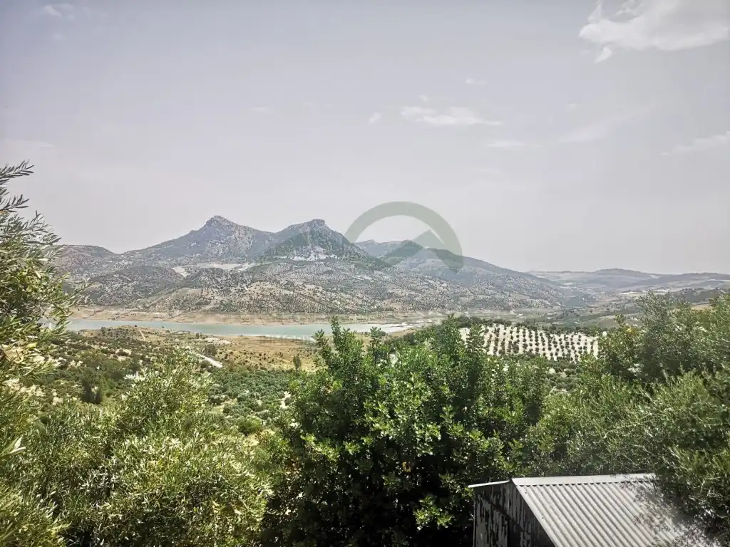 Finca rústica en venda en Zahara