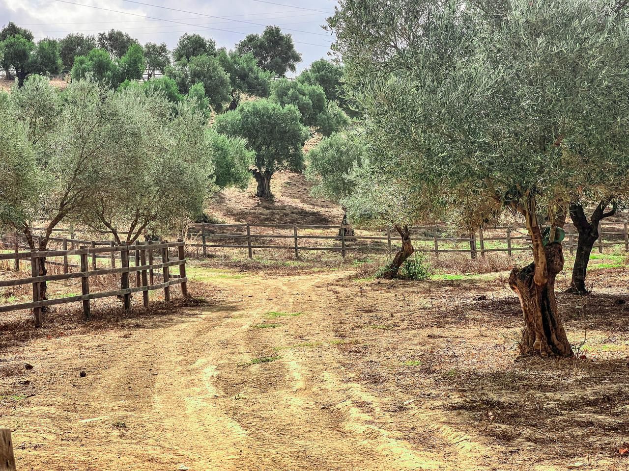 Finca rústica en venta en San Martín del Tesorillo con Aire acondicionado, Calefacción y Terraza