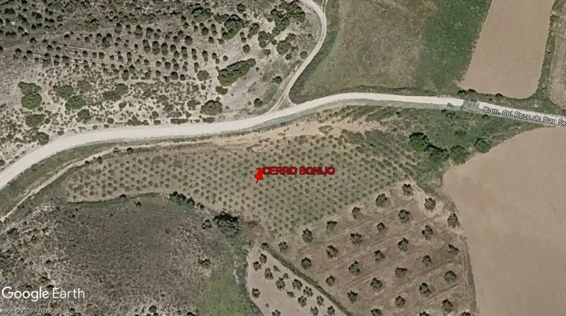 Rural land for sale in Villarejo de Salvanés, imagen 7