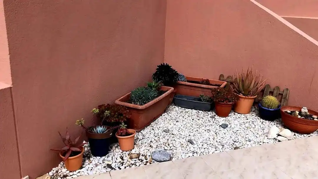 Jardín de Casa o chalet en venta en El Ejido con Aire acondicionado, Jardín privado y Terraza