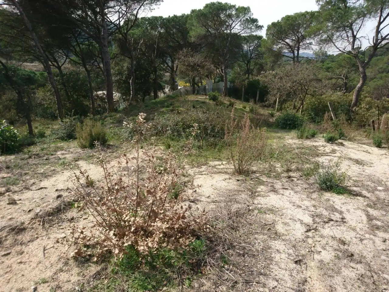 Terreny residencial en venda a Vilanova del Vallès, imagen 18