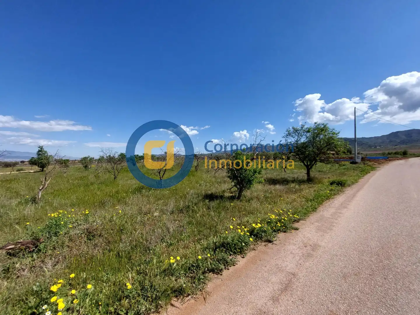 Residential land for sale in Pedanías Sur, imagen 2