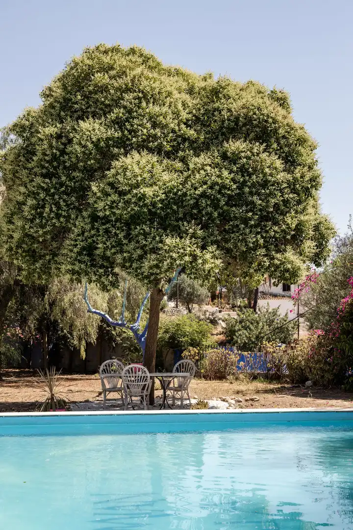 Terreni e lotti in vendita a Álora, imagen 15