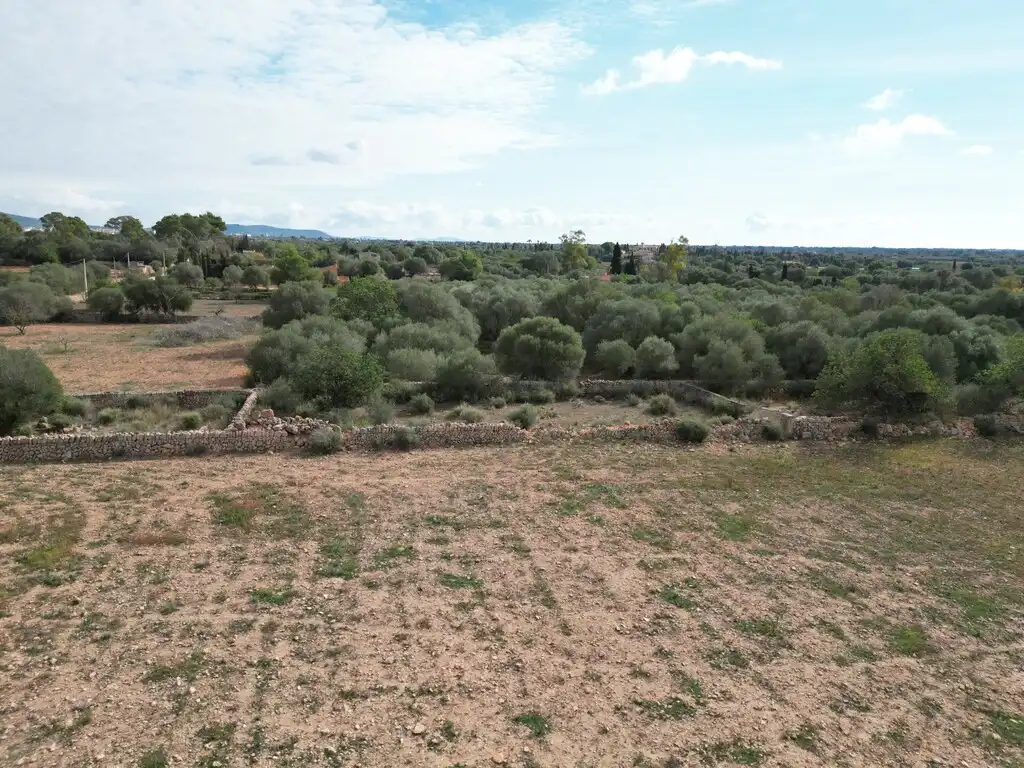 Casa rústica con piscina en venta en Llucmajor pueblo, imagen 18