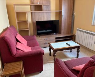 Sala d'estar de Pis de lloguer en Ferrol amb Calefacció, Parquet i Moblat