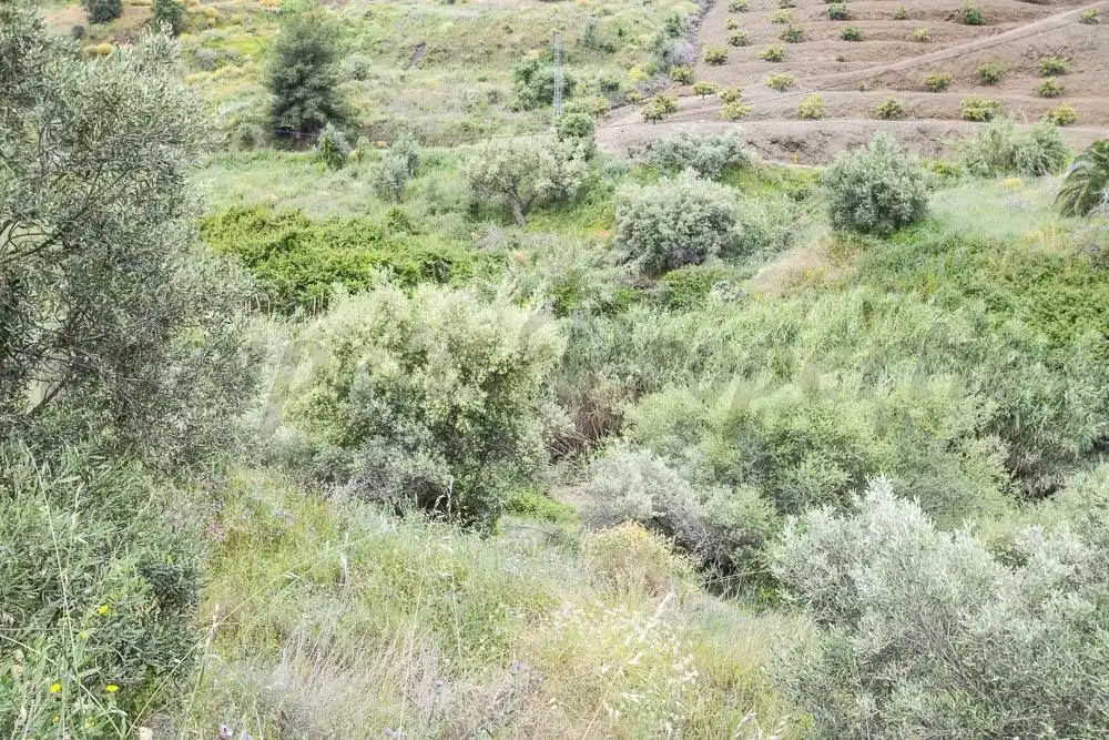 Rustikales Grundstück zum Verkauf in Torrox Pueblo, imagen 7
