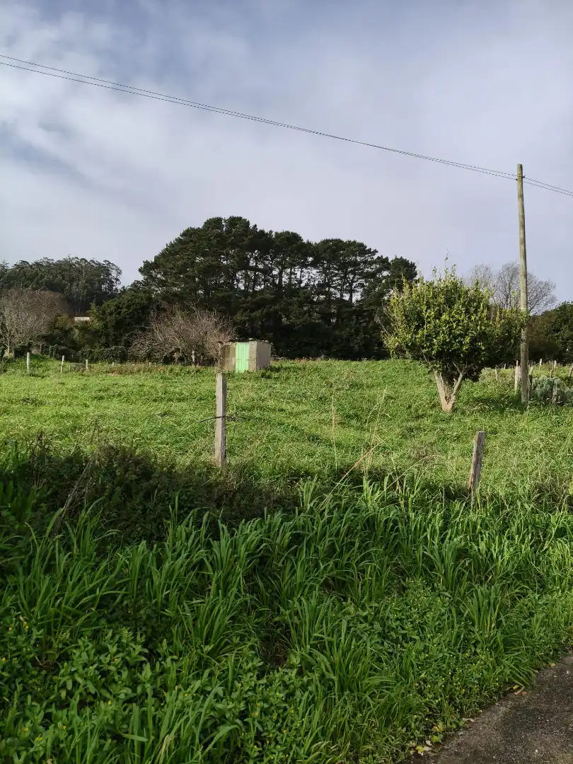 Terreni e lotti in vendita a Cedeira