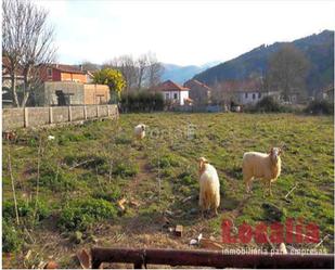 Residencial en venda a Barrio del Rincón, 42, Hazas de Cesto