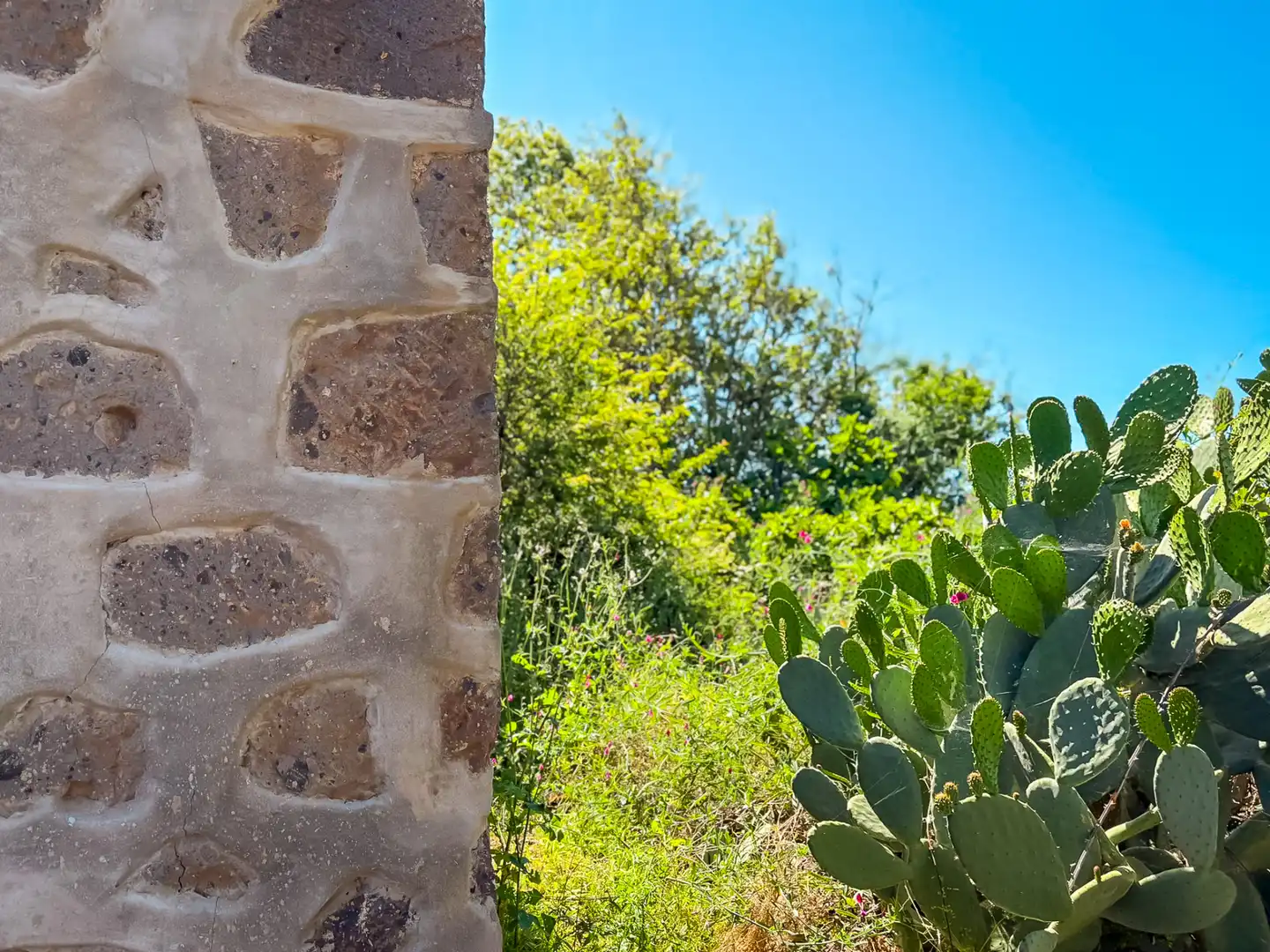 Casa o chalet en venta en Valleseco