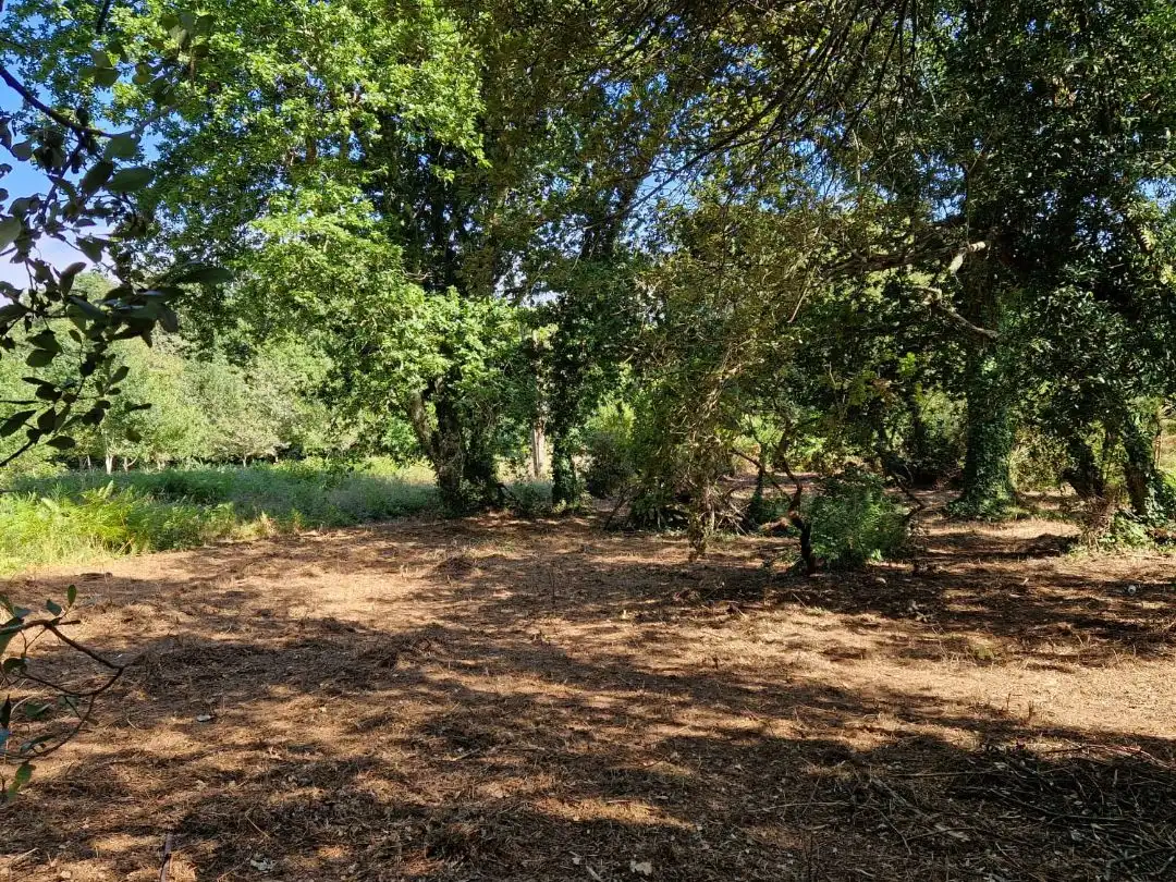 Terreno en venta en Oleiros