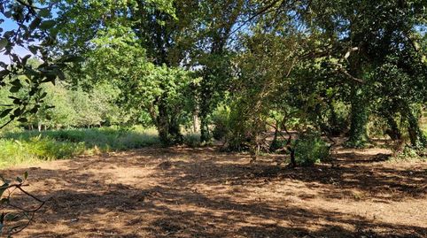 Foto 3 de Terreno en venta en Rúa Vilares, 8, Inás, Oleiros