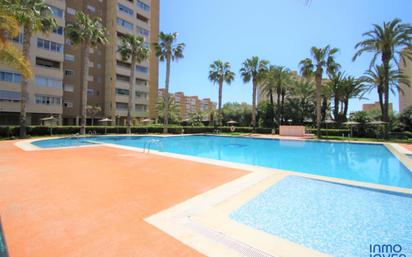 Swimming pool of Apartment for sale in El Campello  with Terrace