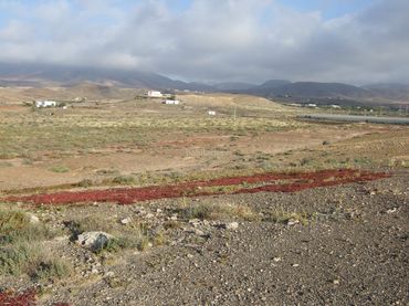 Terreno rustico in vendita a Diseminado Rosajames 18