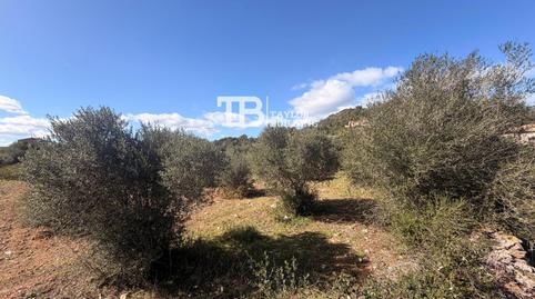 Foto 2 von Residential zum Verkauf in 16, Son Servera Poble, Son Servera