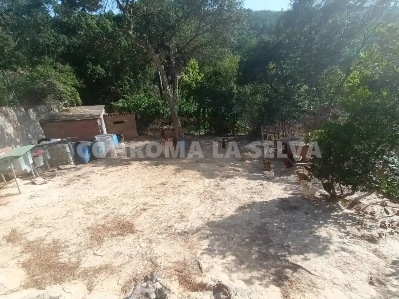 Terrenys i solars en venda a Montbarbat, imagen 7