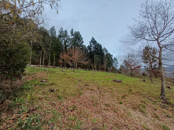 Residencial en venda en A Cañiza  