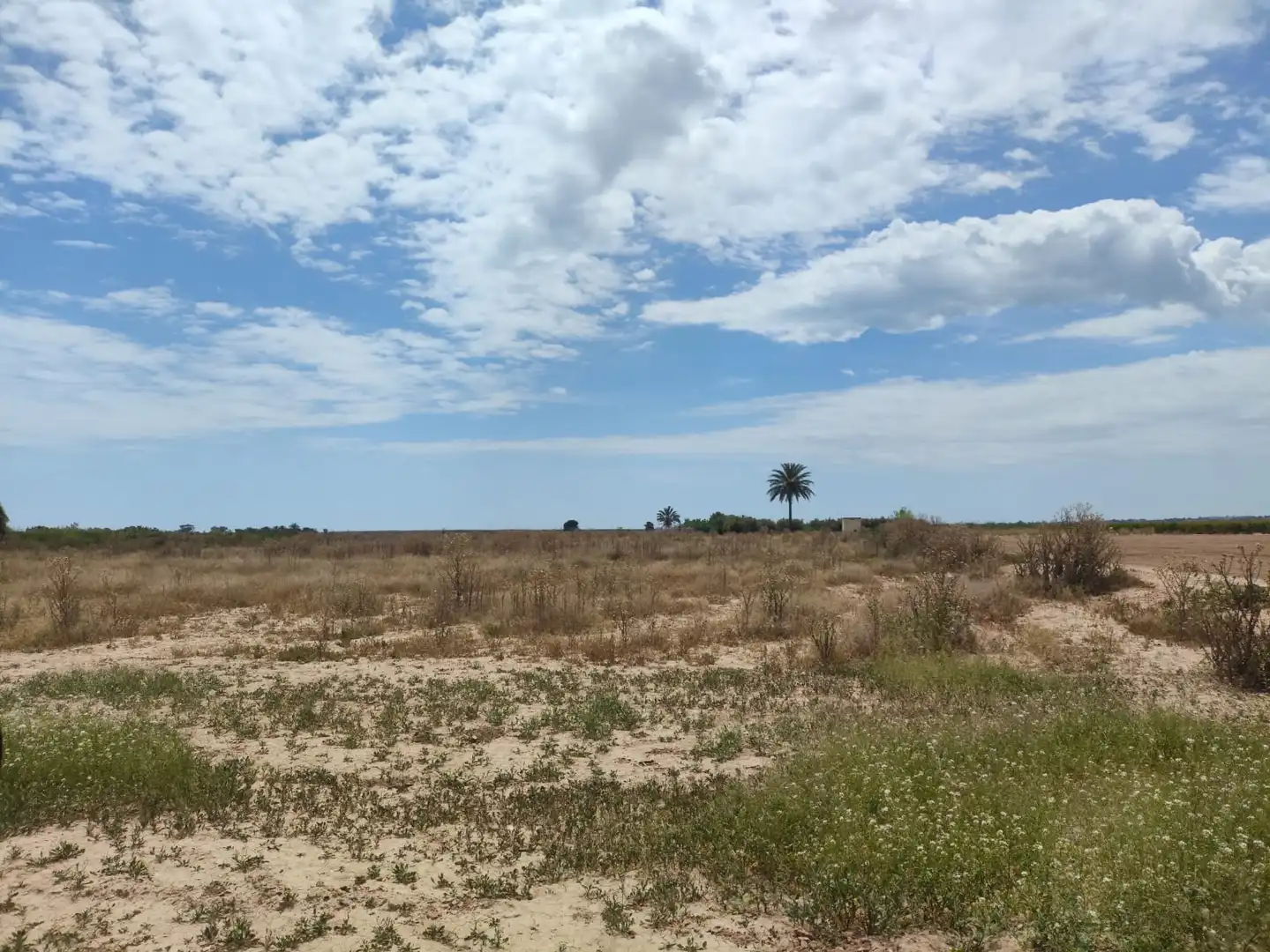 Rural land for sale in Las Bayas, imagen 2