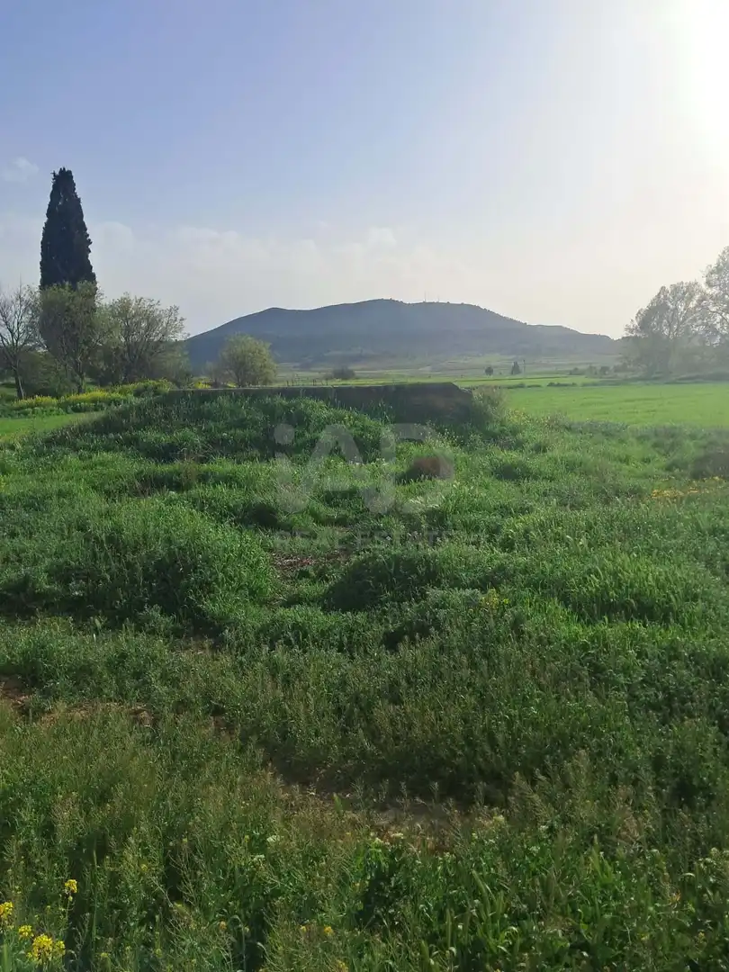 Detached homes for sale in Lorca