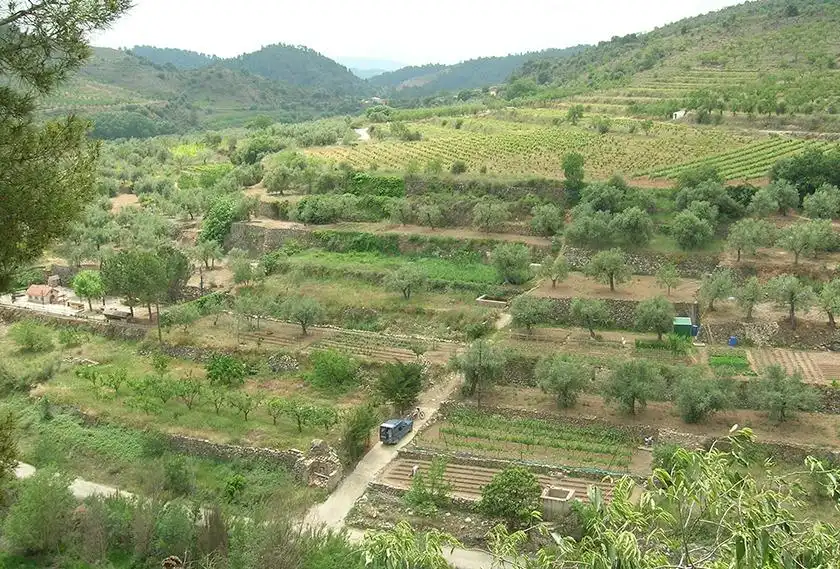 Jardín de Finca rústica en venta en La Vilella Baixa