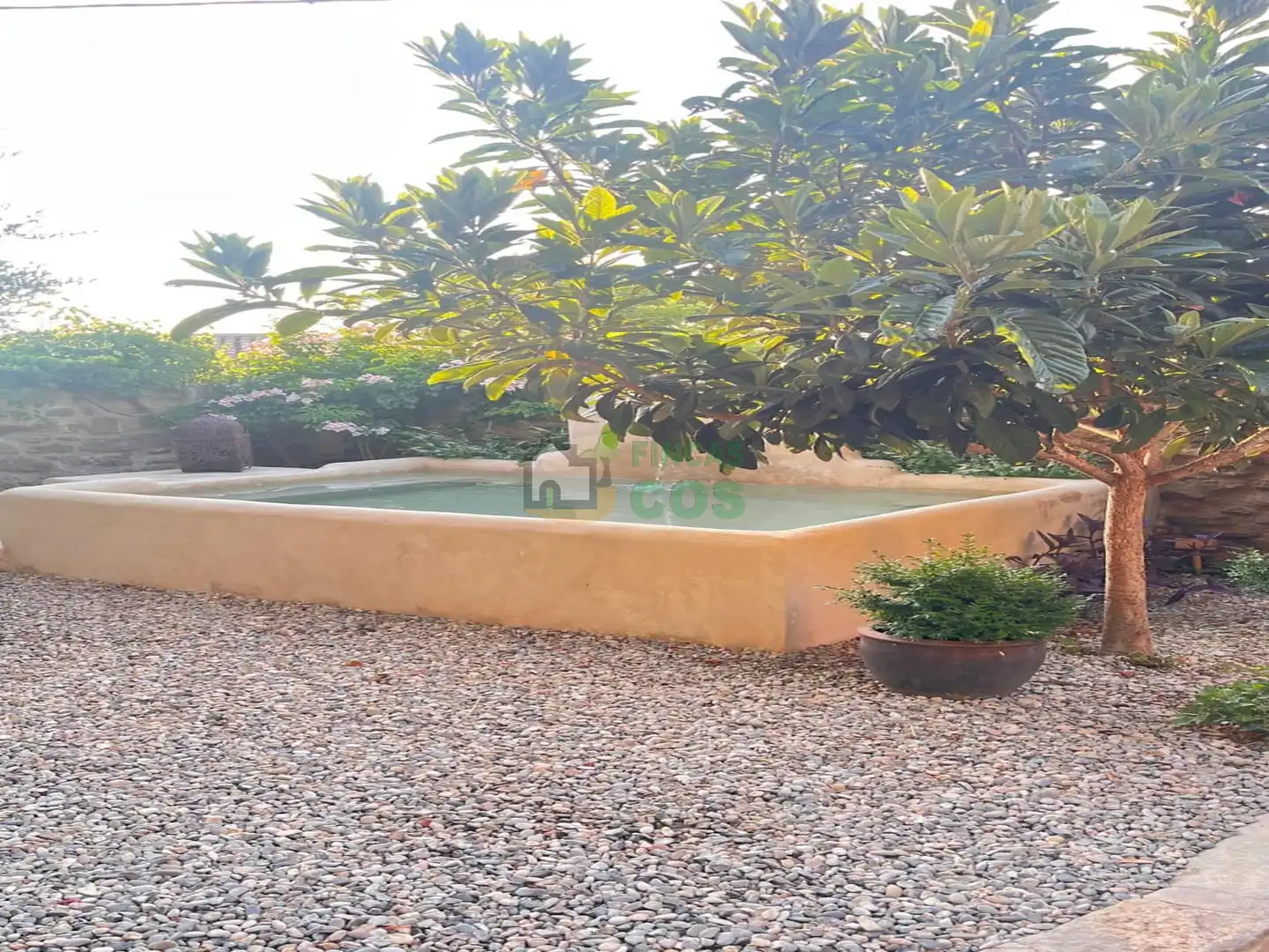 Piscina de Casa o chalet en venta en Cervera con Jardín privado, Terraza y Piscina