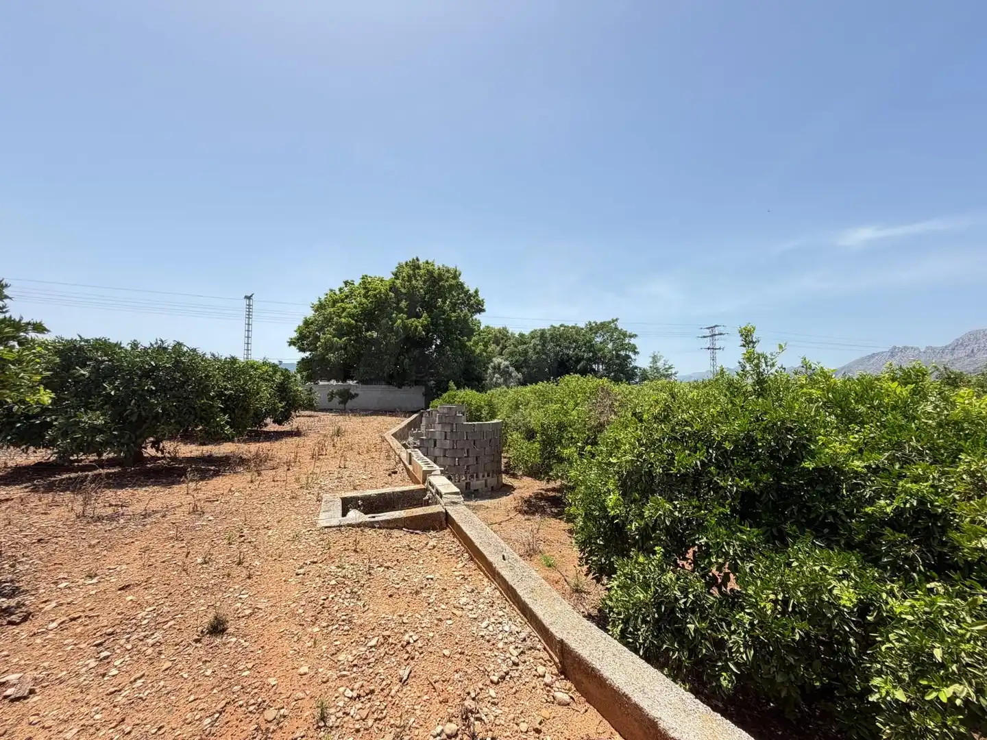 Terreny rústic en venda a Ondara, imagen 19