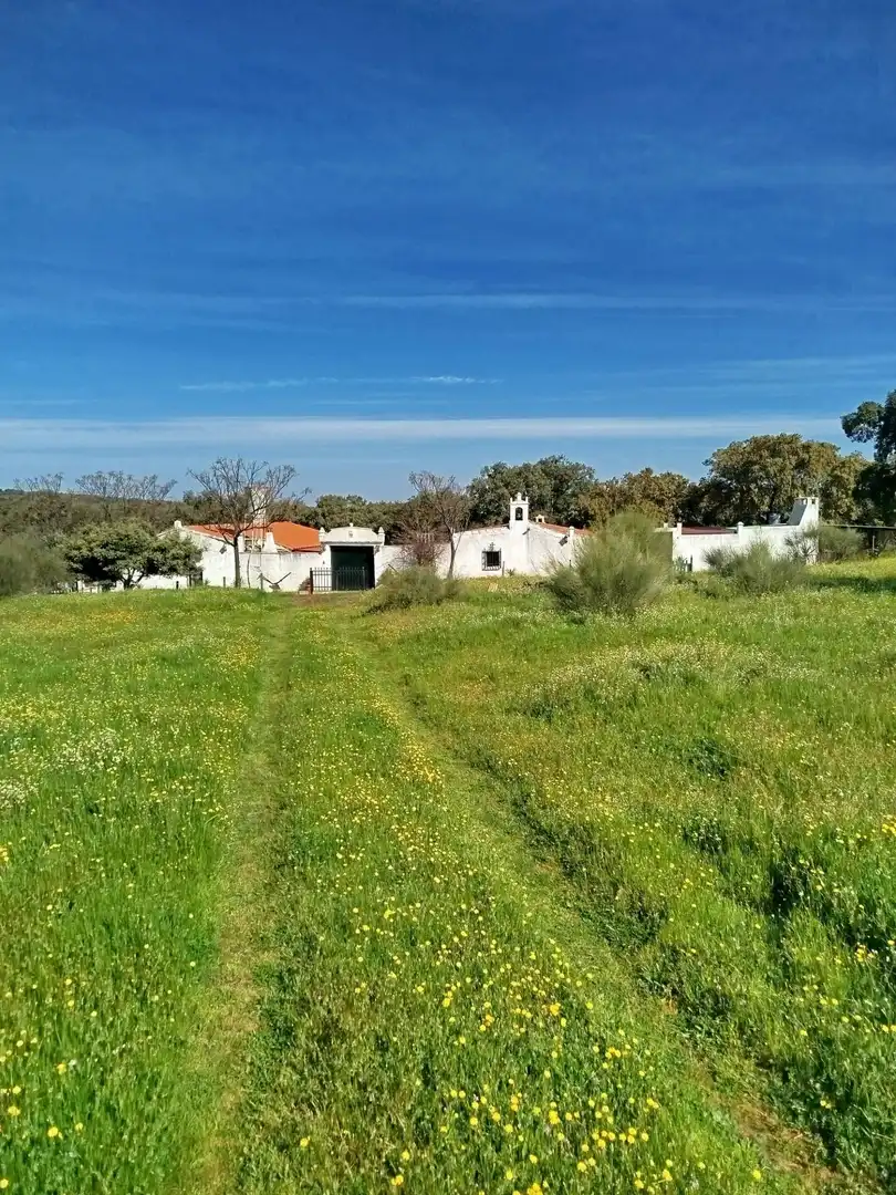 Finca rústica en venta en Hornachos con Jardín privado, Terraza y Trastero