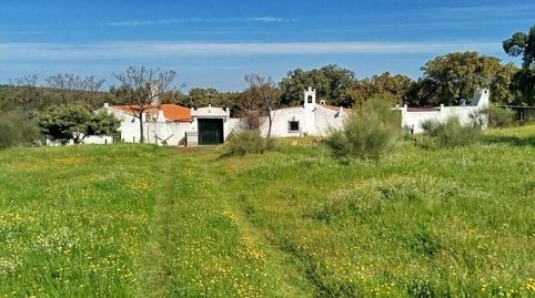 Foto 2 de Finca rústica en venta en Hornachos, Badajoz