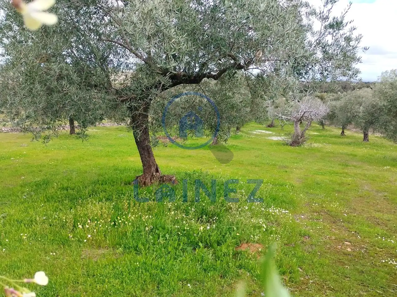 Residential for sale in Villanueva del Duque