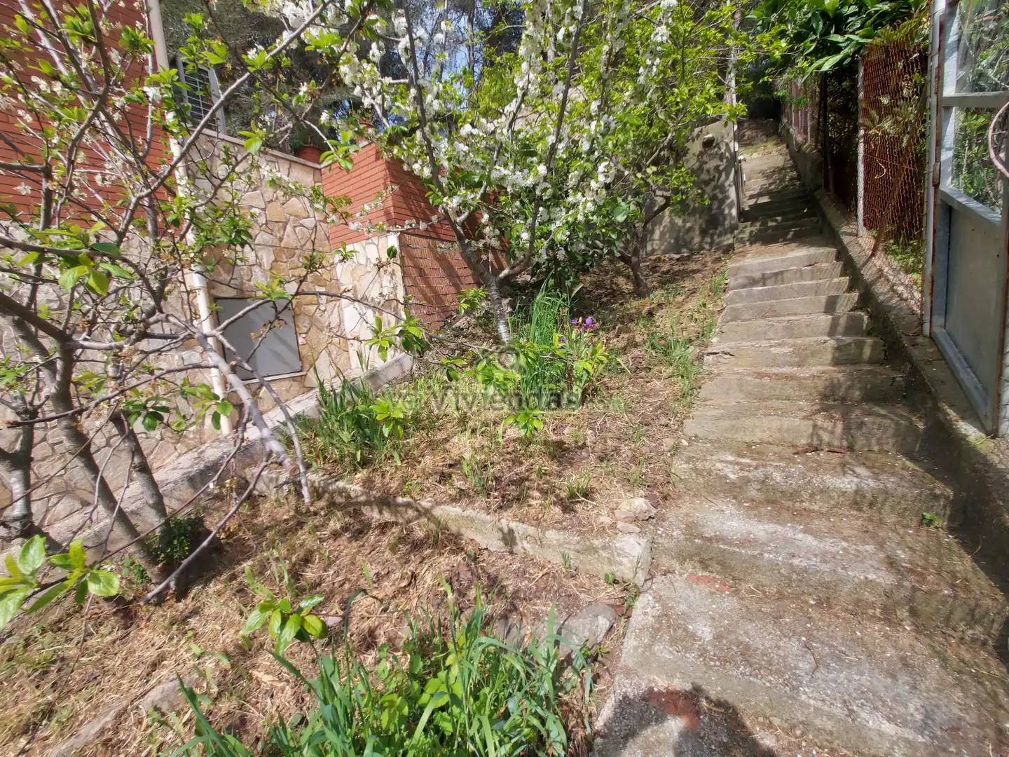 Maison avec terrasse à vendre à Avinguda Olesa de Bonesvalls 46, imagen 59