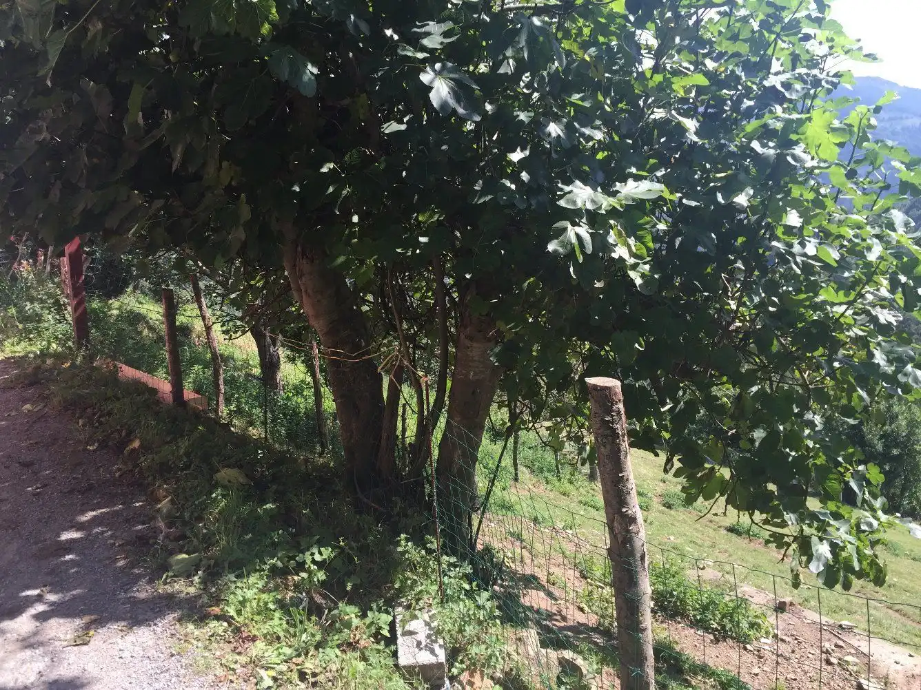 Terraced house for sale in Valdés - Luarca, imagen 10