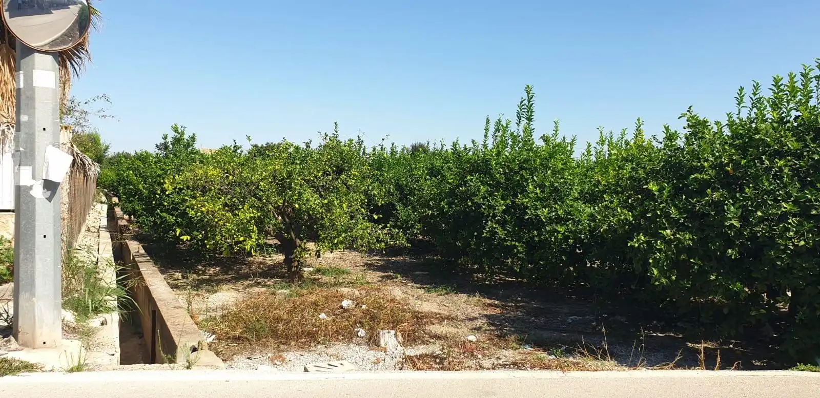 Terrenys i solars en venda a Pedanías Oeste, imagen 6