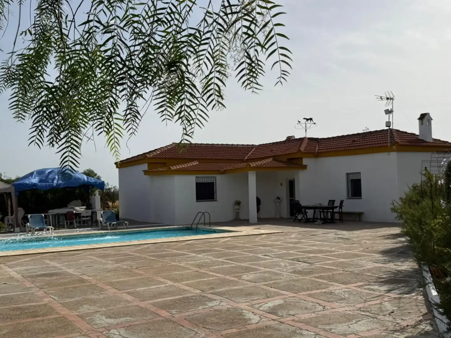 Xalet amb piscina en venda a 5 Urbanización los Jinetes 1 Fase, imagen 26