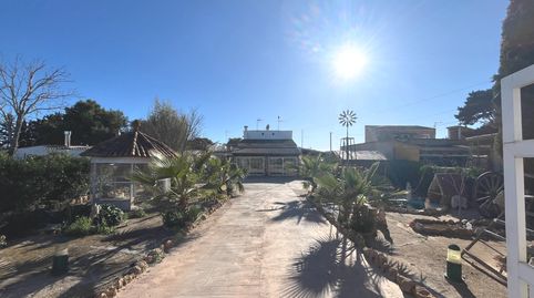 Rustica Llucmajor muy cerca del pueblo con piscina y apartamento independiente, imatge 2