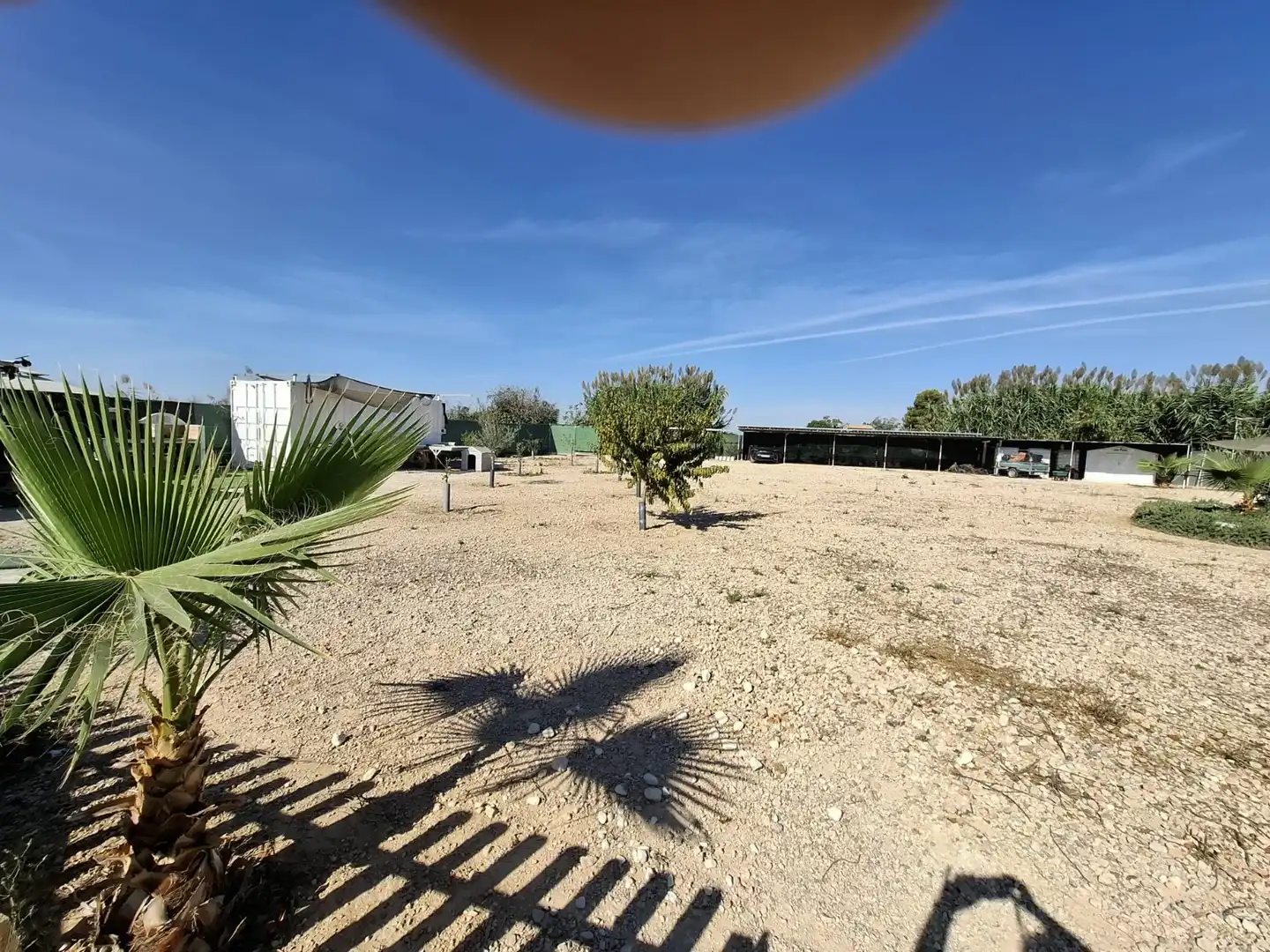 Terreno en venta en Guardamar del Segura