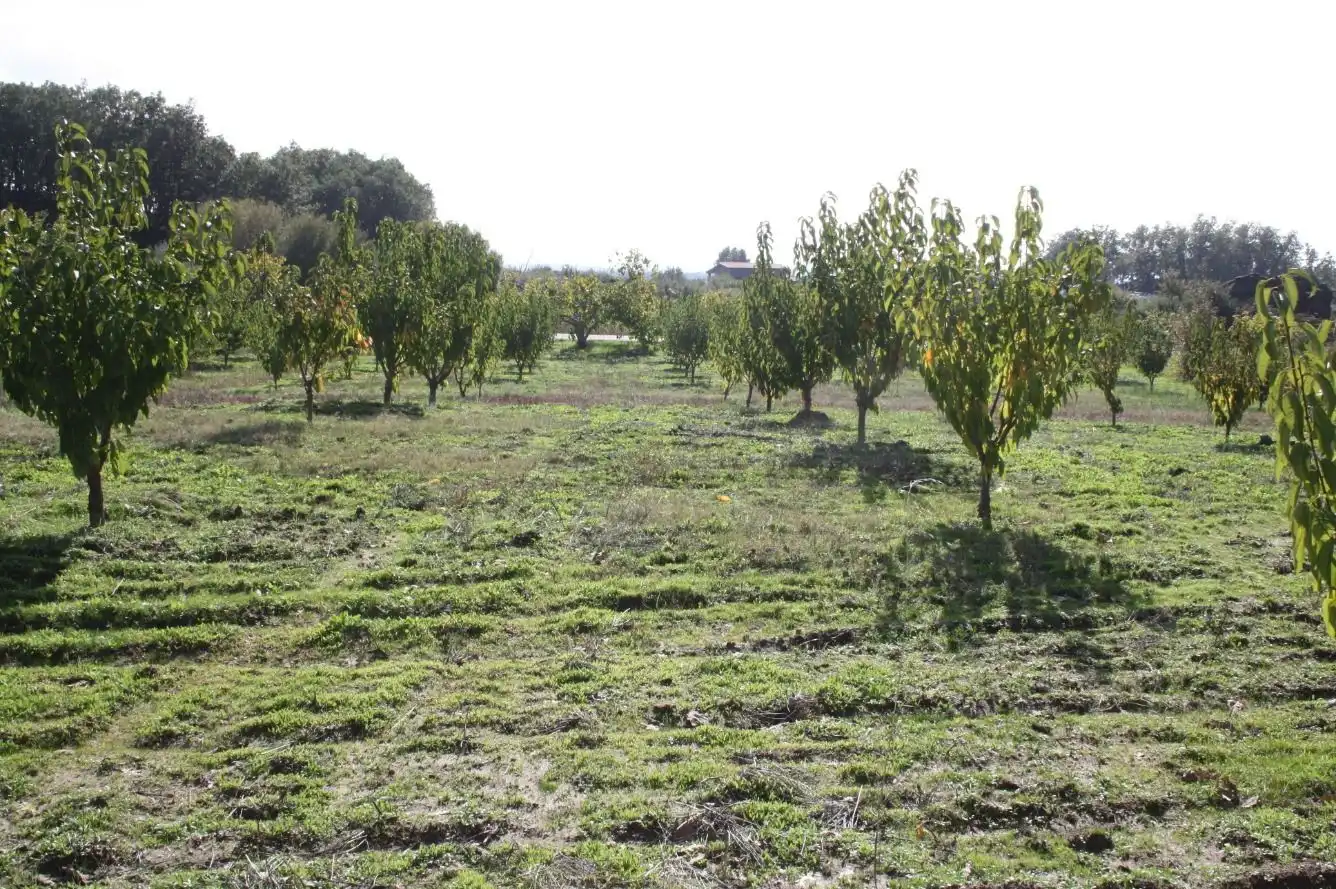 Finca rústica en venta en Torremenga con Jardín privado, Terraza y Amueblado