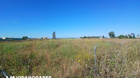 Photo 4 of Country homes for sale in Norte - Blanca Paloma, Rota