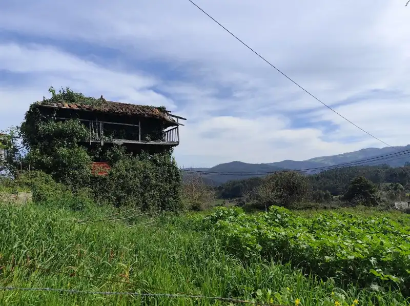 Finca rústica en venda a N/A, -1, Pravia
