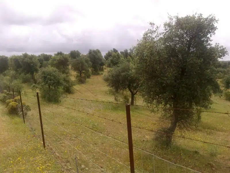 Casa rústica en venda a Valverde del Camino, imagen 6