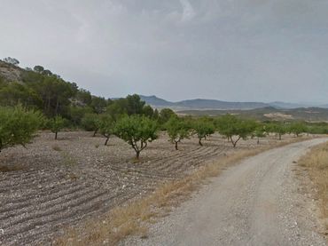 Terreno rustico in vendita a Calle Cánovas del Castillo 129