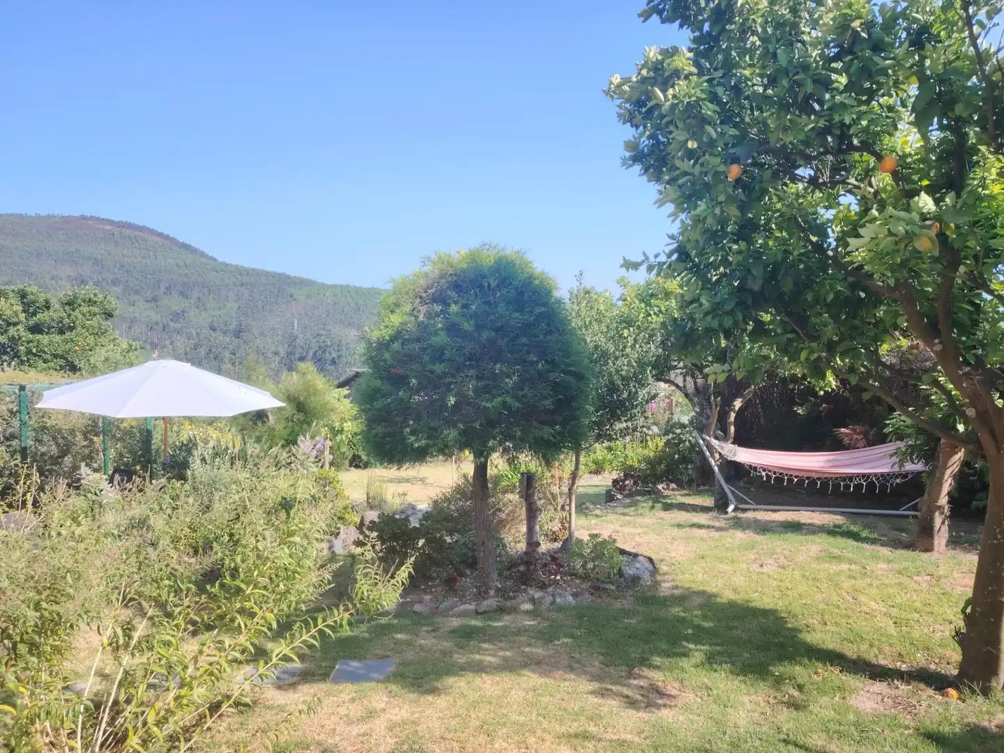 Jardí de Casa o xalet en venda en O Rosal   amb Terrassa, Piscina i Balcó