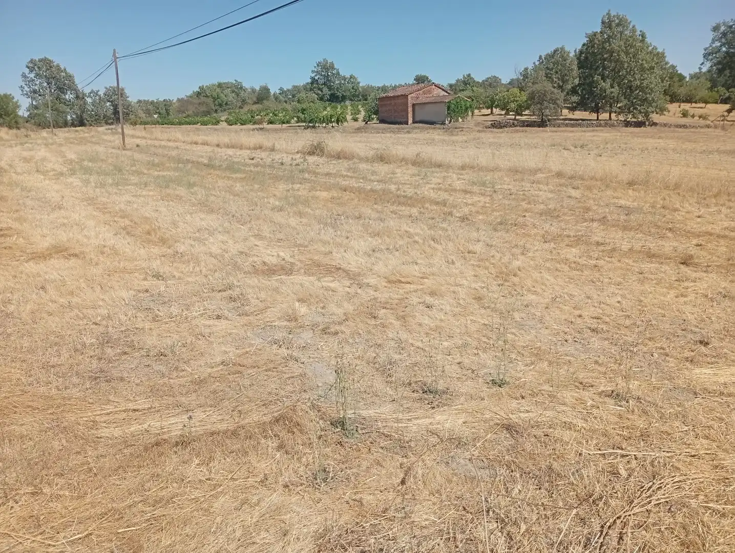 Terreni e lotti in vendita a Villanueva de la Vera, imagen 25